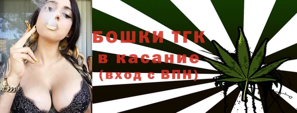 стаф Балахна