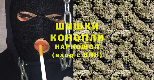 стаф Балахна