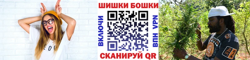 Купить Железногорск-Илимский Шишки марихуана индика